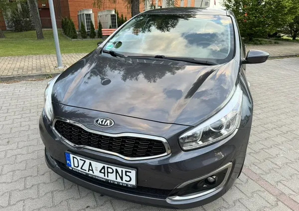 kia dolnośląskie Kia Ceed cena 44800 przebieg: 83000, rok produkcji 2015 z Leszno